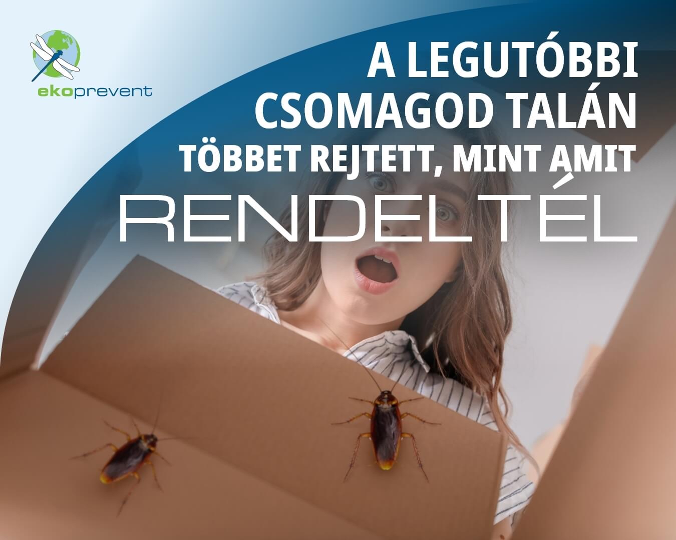 csótány a csomagban - cover