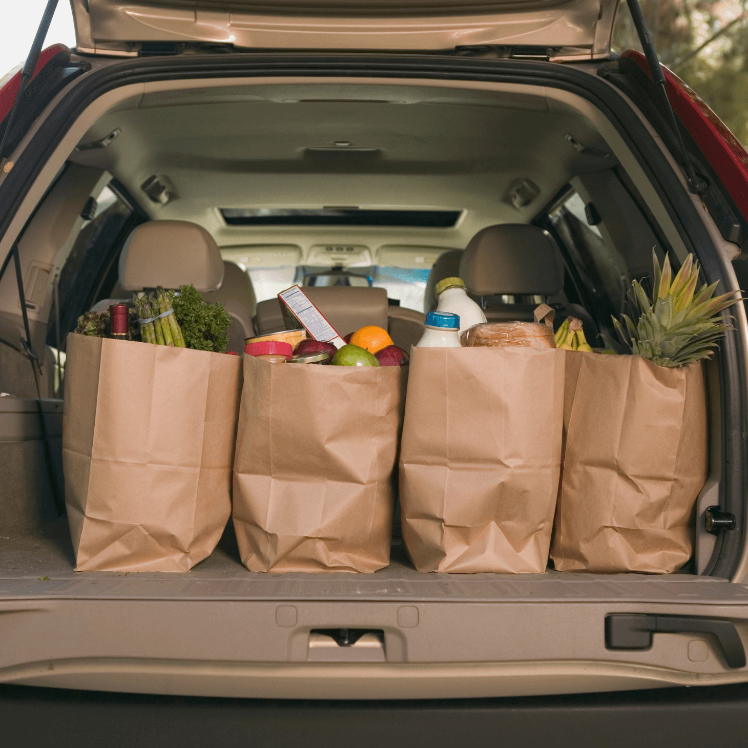 kártevők bejutása bevásárlás