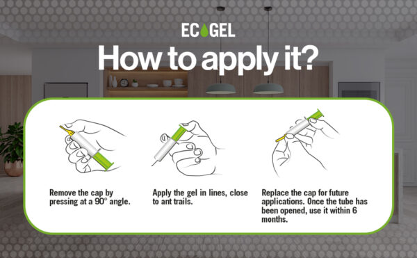 EC Gél hangyairtó fecskendő 10g - Image 3